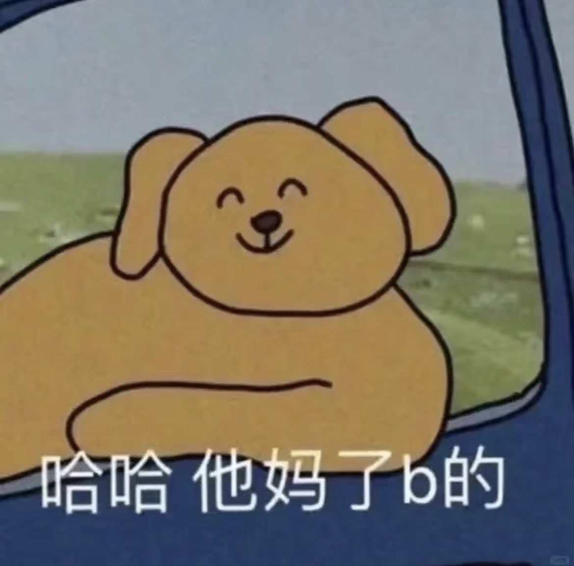 阿禾 tweet media