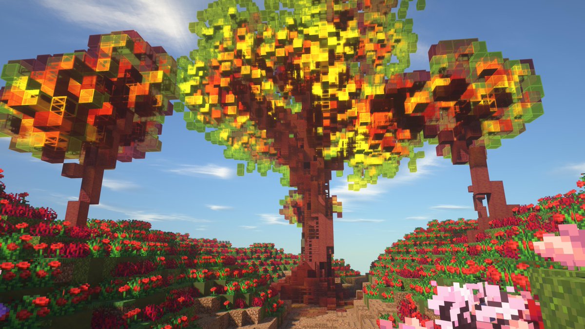 EpicQuestz tweet media
