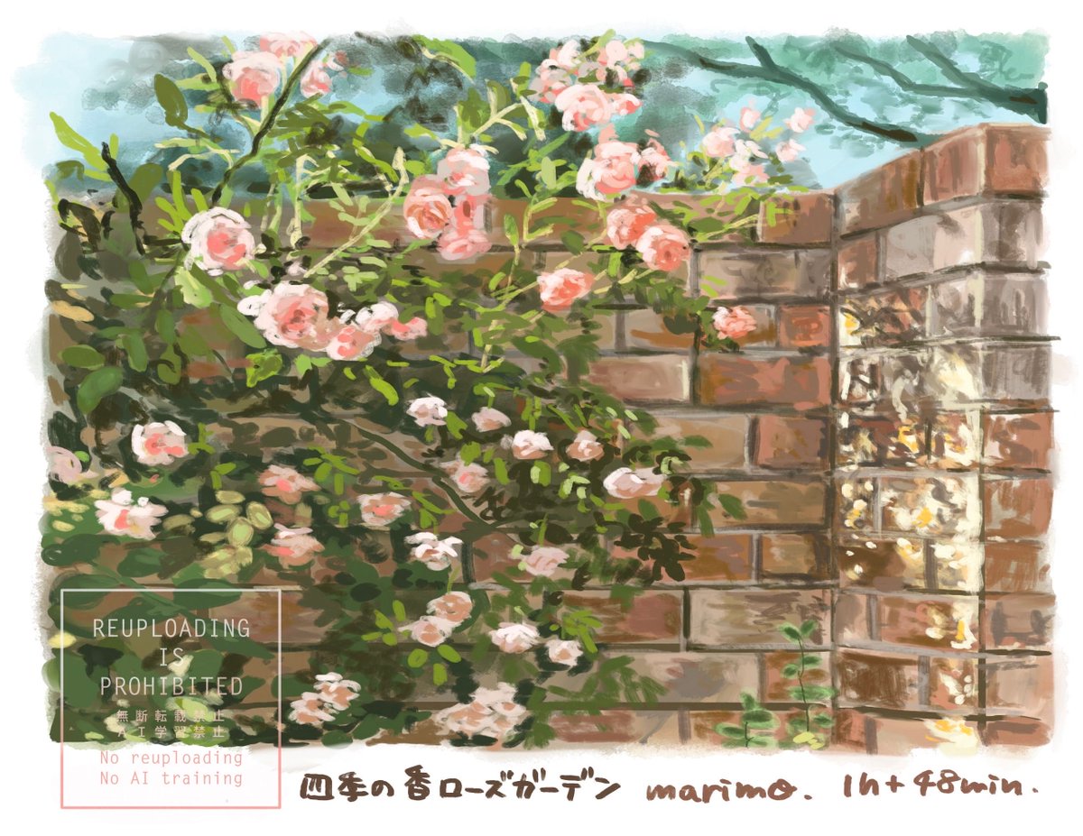 marimo 🌱5/23ZINEフェス東京7階D列17 tweet media