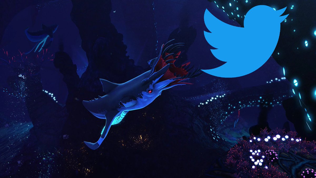 Squid Shark tweet media