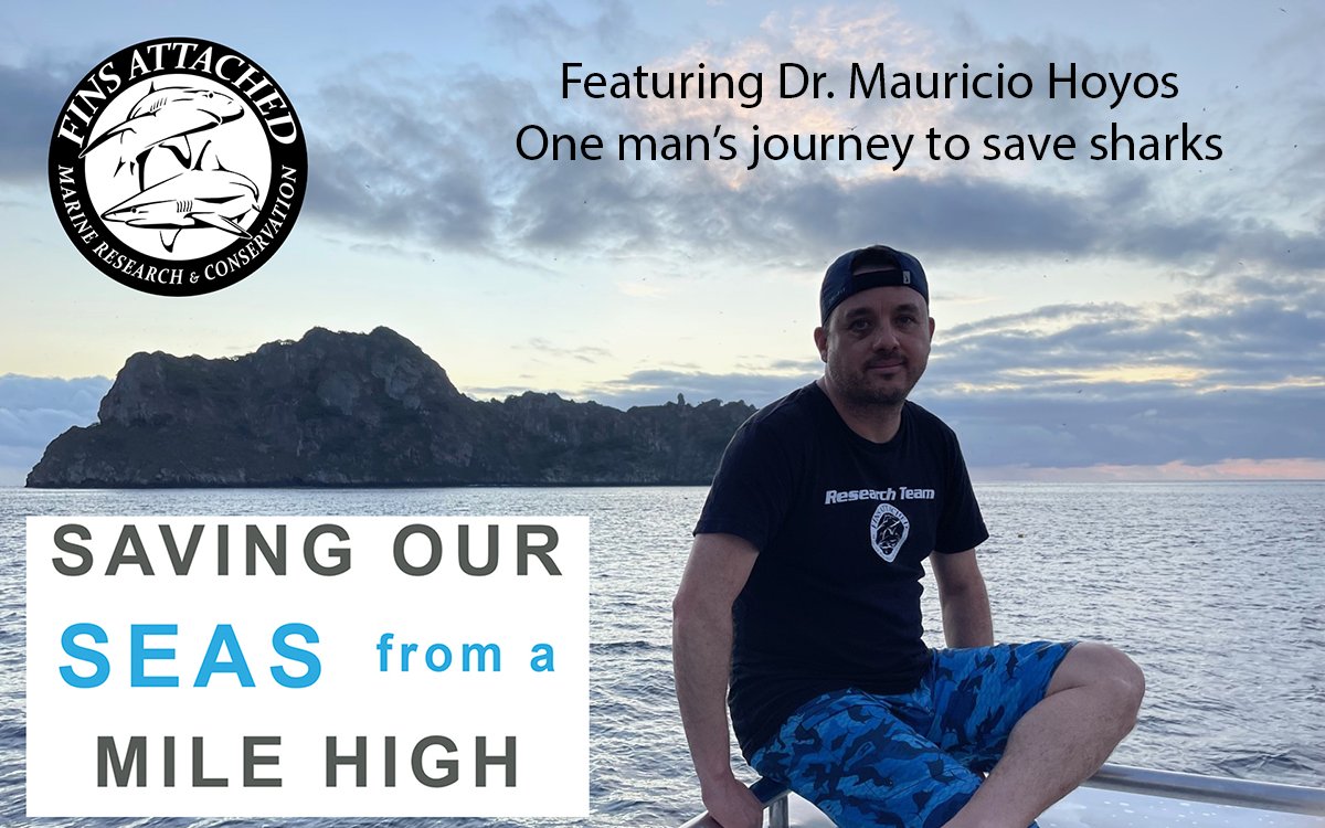 FinsAttached's tweet photo. A Story to Inspire - Tickets are now available
Keynote speakers - Dr. Mauricio Hoyos and Dr. Mikki McComb-Cobza.
The SAVING OUR SEAS FROM A MILE HIGH gala is an inspiring evening dedicated to ocean conservation, shark protection, and marine research. Hosted by Fins Attached, the event brings together ocean advocates, scientists, conservation leaders, and supporters who share a commitment to protecting our oceans for future generations. The gala highlights critical conservation projects, groundbreaking shark and marine research, and community-driven efforts to preserve fragile marine ecosystems around the world. Guests experience an unforgettable evening of storytelling, education, and purpose, all focused on creating lasting change for the ocean.
https://t.co/Rq8CPzscgm