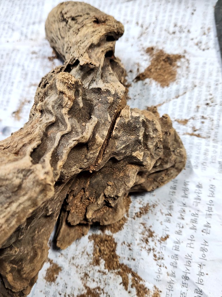 박태식 tweet media