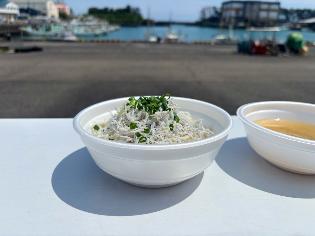 静岡で美味しいものたくさん食べてきた！ しらす丼、ジェラート