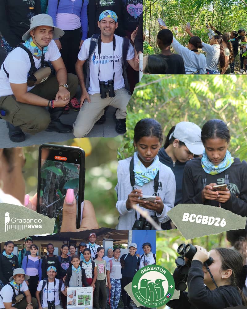 FlorayFaunaMtz's tweet photo. El Cuban Birding 🇨🇺 Team presentes en el Global Big Day 2026
#ffmat #globalbigday2026 #bcgbd26 https://t.co/WiYoRGF9Y3
