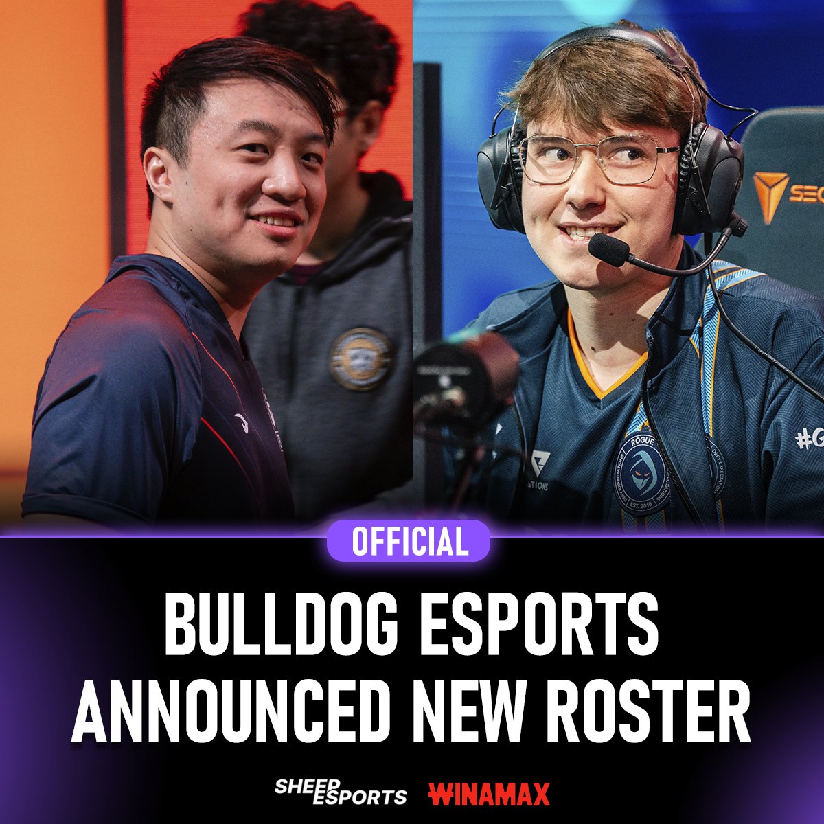 Sheep Esports tweet media