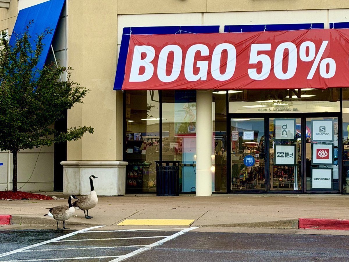 NathanDThompson's tweet photo. I ran into a couple of geese this morning just waiting patiently for the store to open so they can get that BOGO. https://t.co/SFEIYUc5xT