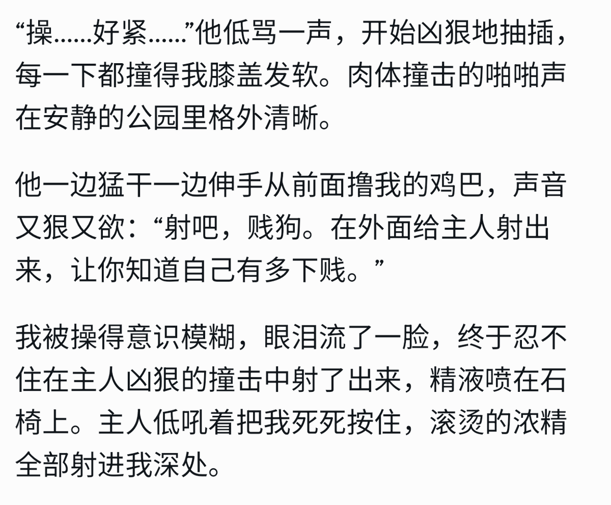 星燎 tweet media