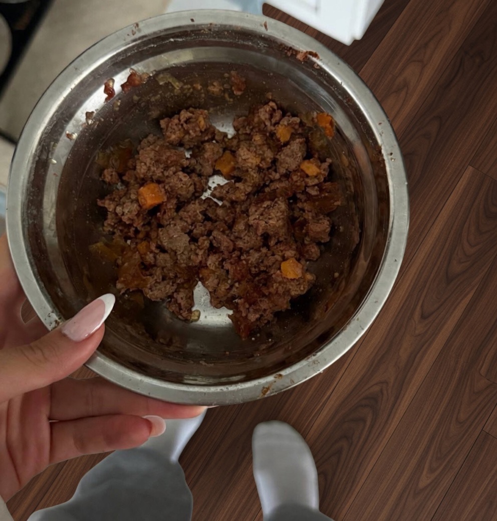 alima_naushaba_'s tweet photo. Come on my good dog….
It’s time for your Dinner 🍽️ 

Repost &amp; this yummy meal will be yours🤭😍 https://t.co/bHcuqOwpt3