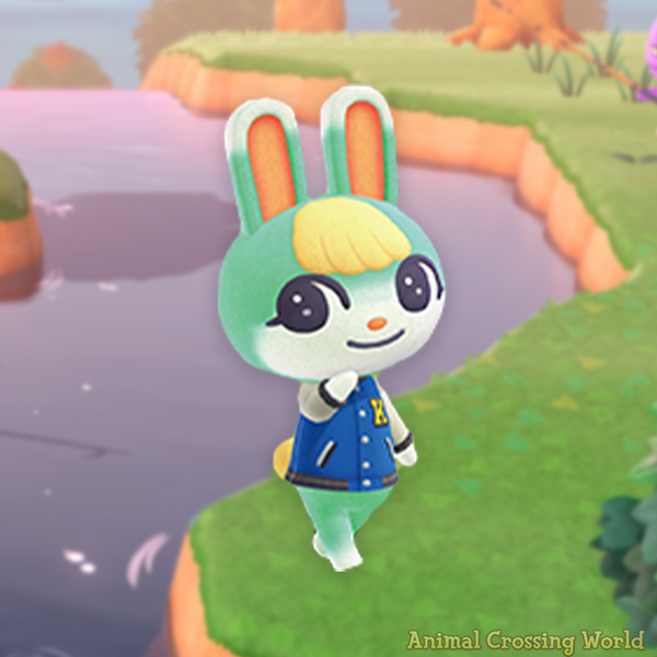 Animal Crossing World 🏝️ tweet media