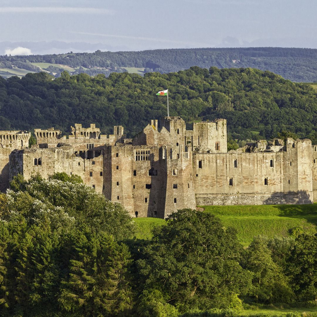 Cadw tweet media