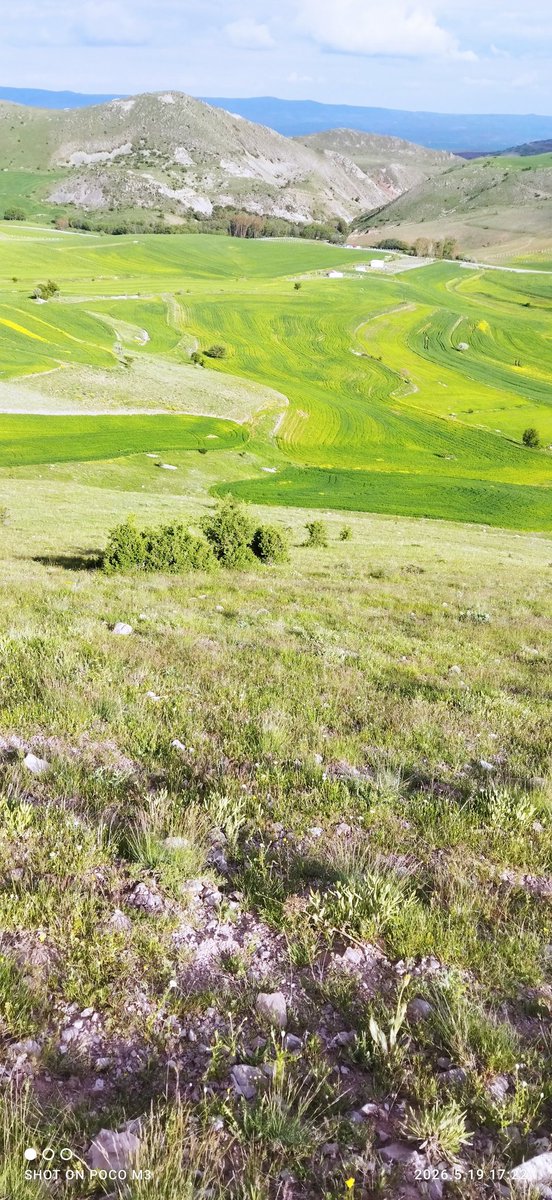 KksalSara27770's tweet photo. Huzur gerçekten doğada https://t.co/daWNWmDybx