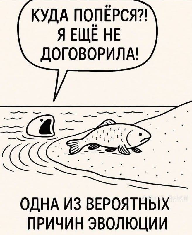 Радио Ночных котов 🇨🇦💙💛🇺🇦 tweet media