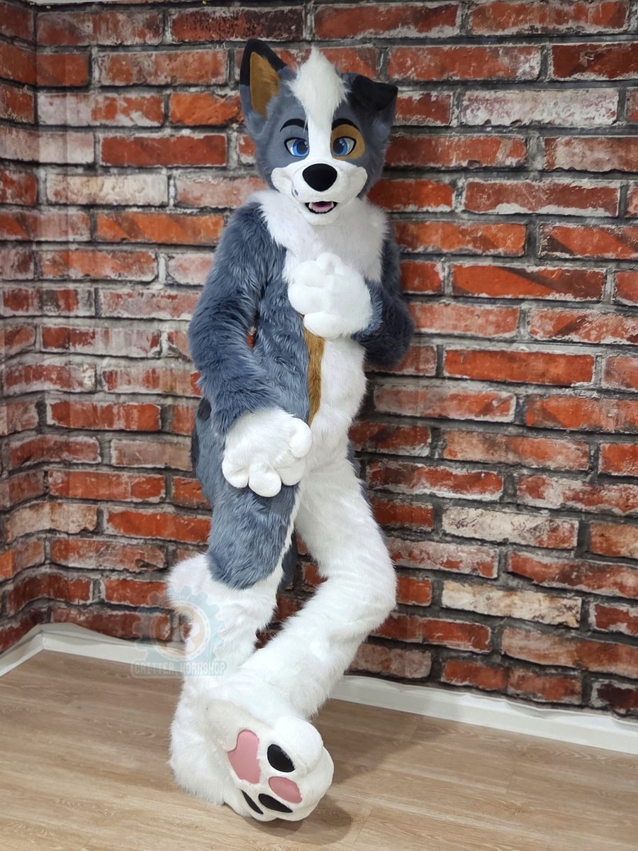 CritterWorkshop's tweet photo. Copper came to pick up his suit in the studio last Sunday! Isn't he adorable? 

Super happy with how it turned out 🥰 I love to make floppy eared dogs!

Thank you so much again for commissioning me ❤️ #fursuit #fursuitmaker https://t.co/GxpW1kREg2