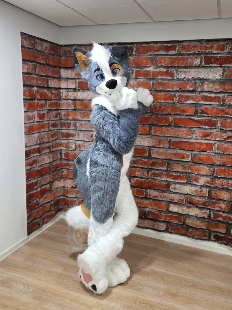 CritterWorkshop's tweet photo. Copper came to pick up his suit in the studio last Sunday! Isn't he adorable? 

Super happy with how it turned out 🥰 I love to make floppy eared dogs!

Thank you so much again for commissioning me ❤️ #fursuit #fursuitmaker https://t.co/GxpW1kREg2