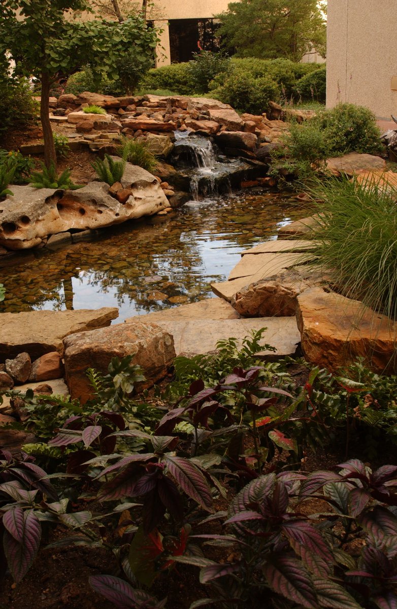 UTSWArchives's tweet photo. UTSW campus is full of interesting little areas that most don't know about. Like this cute waterfall that is off the beaten path of the campus.
#buildingstuesday #FromTheArchives #UniversityArchives #medicalarchives https://t.co/RMNoS4q7hQ