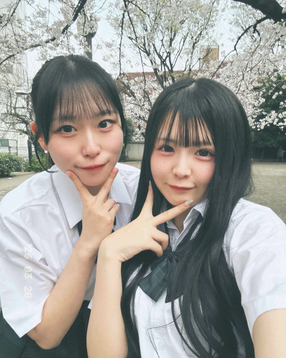 Post by まあや on X: おれの相棒＾＾