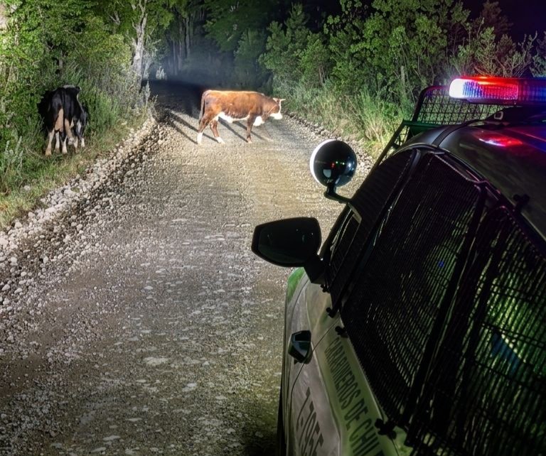 Carabineros Región de Los Ríos tweet media
