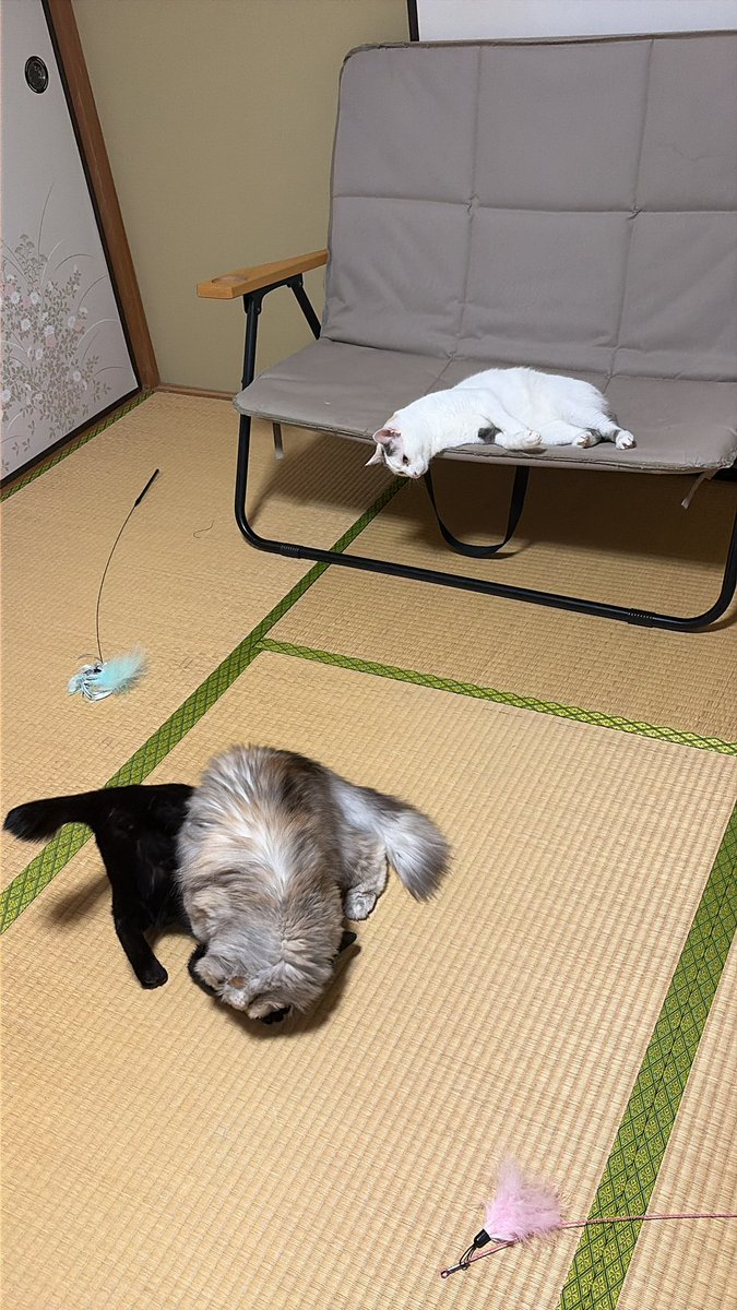 時計い tweet media