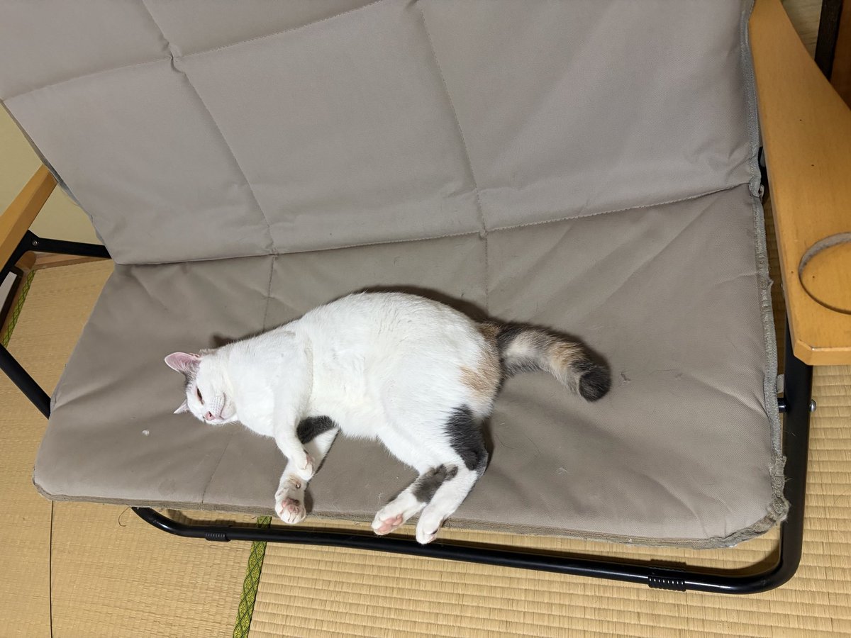 時計い tweet media