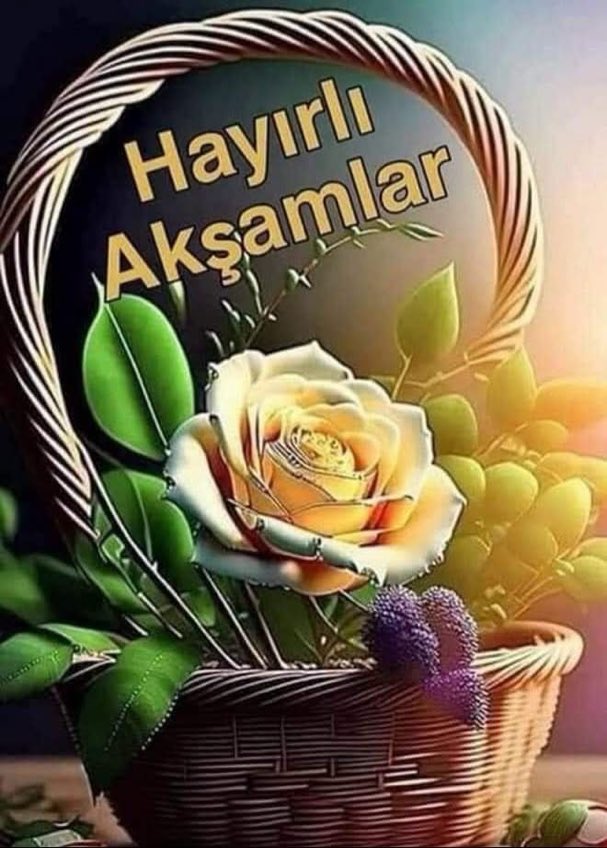 Bahri Şen tweet media