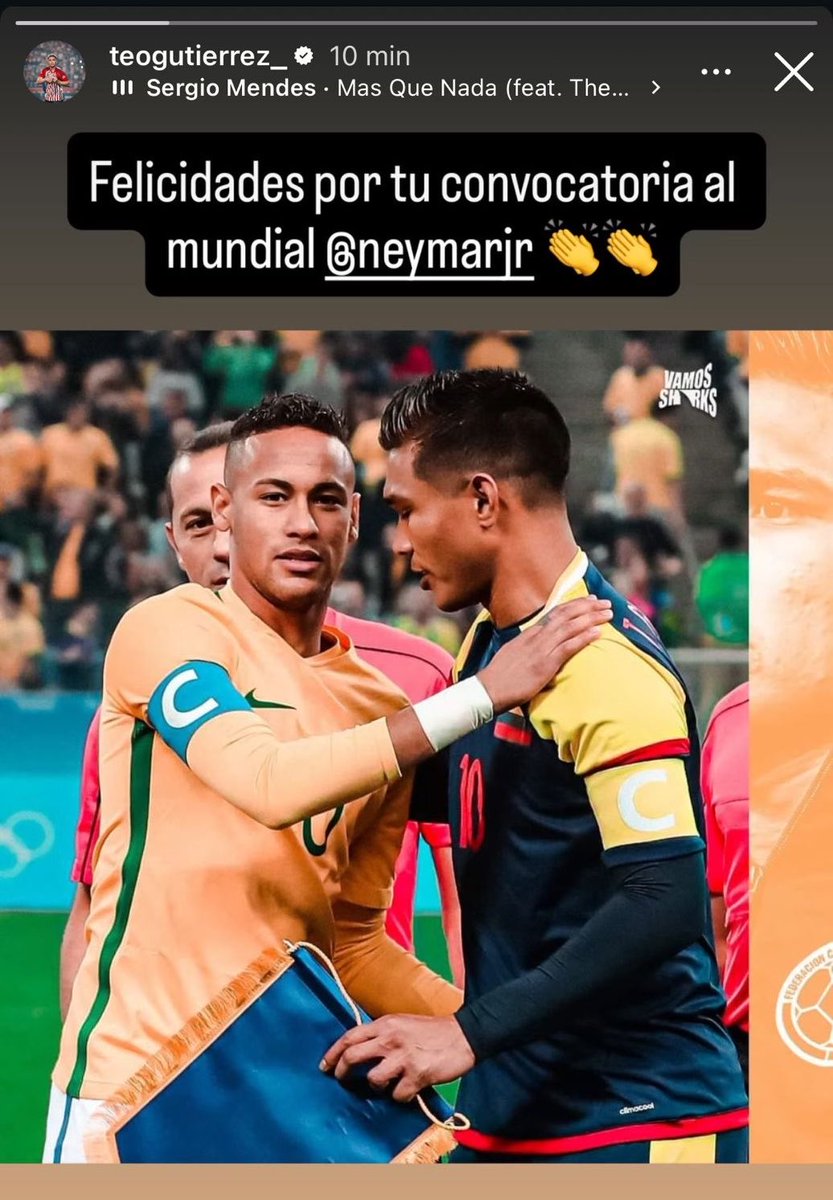 O Burrinho tweet media