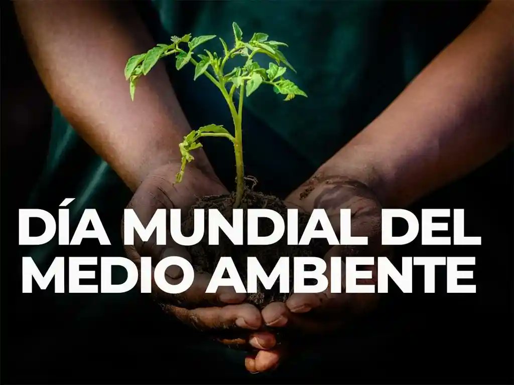 MilaxyA's tweet photo. #VillaClaraConTodos ➡️  Ratifica condición de provincia destacada en el Día Mundial del Medio Ambiente.
Muchas felicidades en nombre del Gobierno Provincial del Poder Popular y en el mío propio.
#CubaEstáFirme https://t.co/xu8EMHZ0zW
