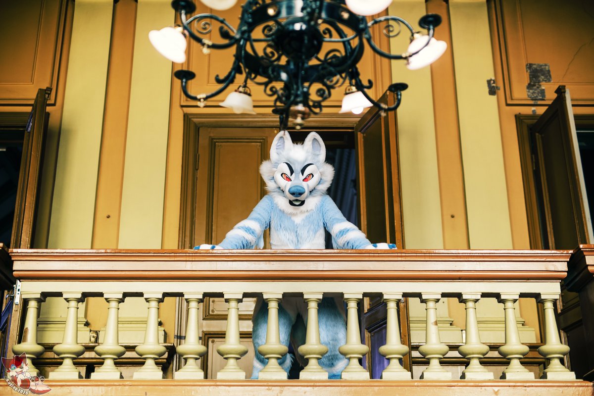 spicynightless's tweet photo. Welcome to my modest house 😁
Hope you have a nice week! 

📸: @KayJayFIN
🪡: @ItsCraftyCoyote, me/Nightless Creations https://t.co/Eumw7iajhW