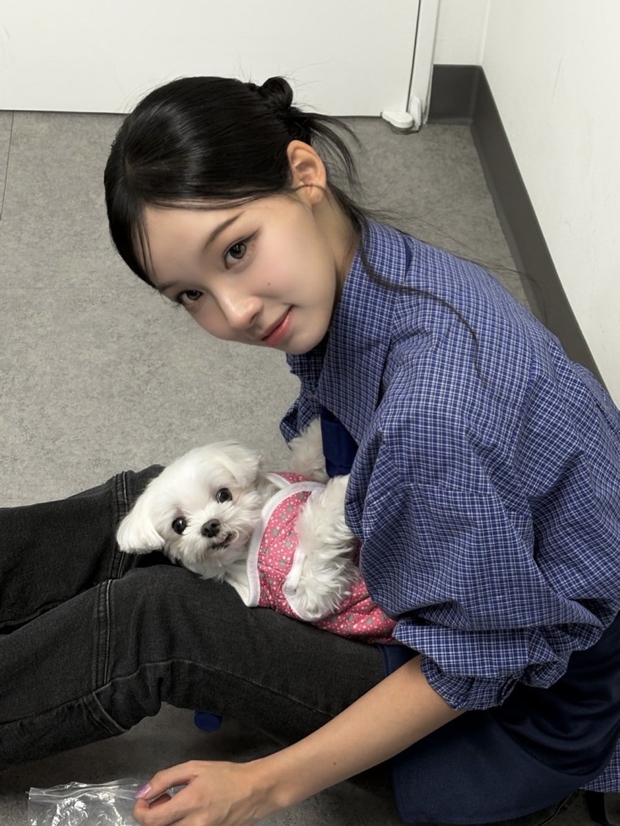 빙수 tweet media
