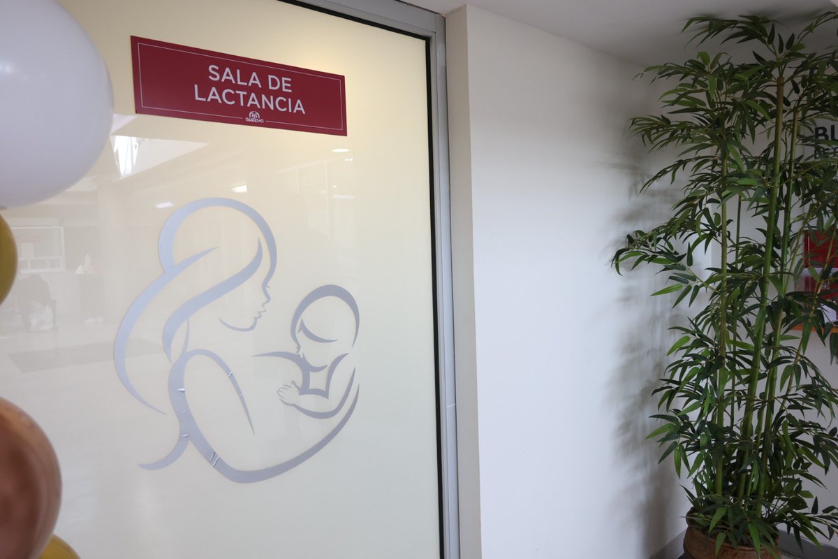 IssstesonGob's tweet photo. 🤱🏻 En la promoción de la leche materna como alimento primordial para bebés, #ISSSTESON ✅ cuenta con cuatro lactarios ubicados 📍 en los hospitales en Hermosillo, Nogales y Guaymas, así como en el CIAS unidad Sur en la capital de Sonora.

1️⃣▶️2️⃣ https://t.co/7nEoPF1Z2y