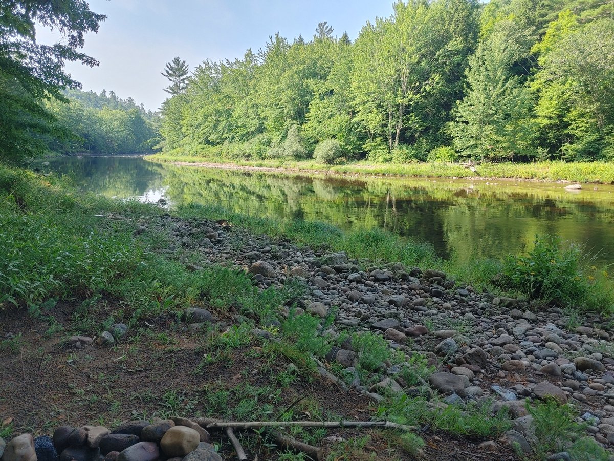 ausablecenter's tweet photo. For the fifth year in a row, we are partnering with Lake Champlain Basin Program to offer the Stream Wise program - free streamside assessments for landowners. It's easy to participate - just reach out to our Stewardship Manager info@ausablecenter.org to learn more! https://t.co/pONICrBDRv
