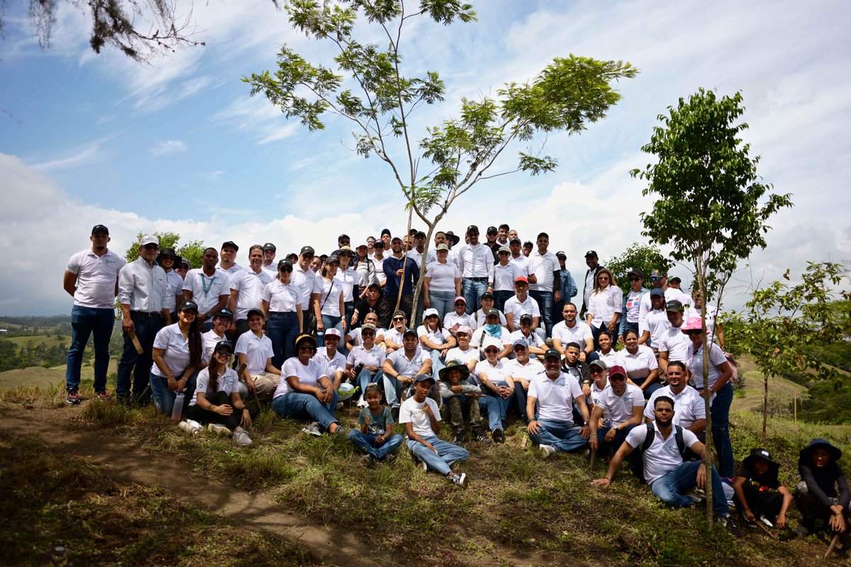 PlanSierra's tweet photo. 🌱 80 voluntarios del @BancoAdemi participaron en una jornada de reforestación en Las Cañas, subcuenca Bao, microcuenca Jánico, donde fueron sembradas 3,500 plantas en 50 tareas de terreno.

🌿 Se estima que el área reforestada capturará 77 toneladas de CO₂ al año.

#Reforestación #PlanSierra #BancoADEMI