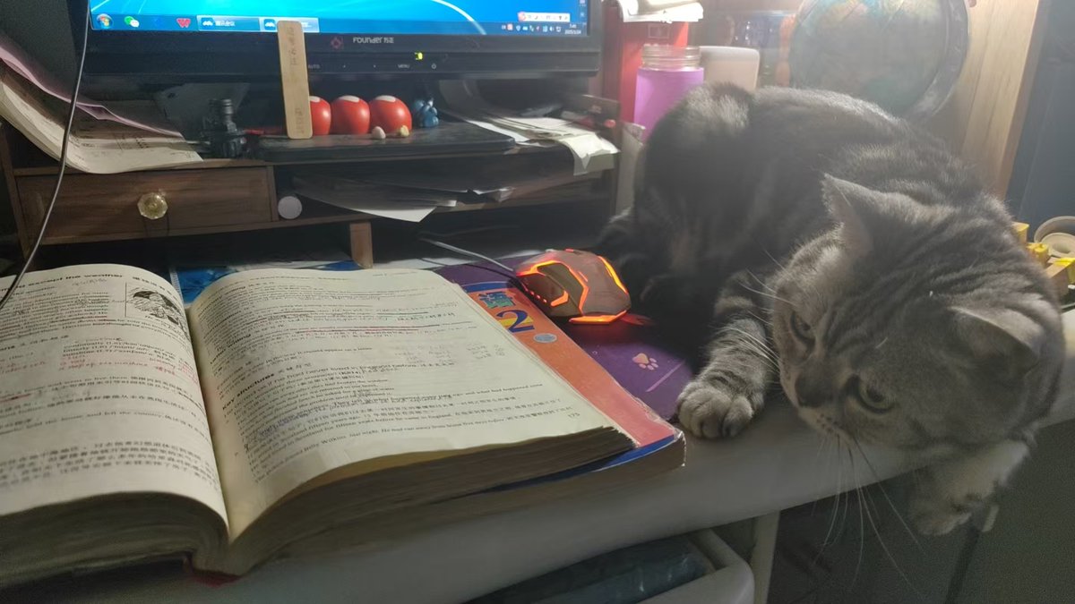 bireshar9's tweet photo. Today I mastered 5 new English phrasal verbs from my textbook – “look up”, “put off”, “give in”, “take after”, “break down”! Super useful for daily talks, gonna use them in my next chat with my foreign friend ， https://t.co/aHs1wV7ILi