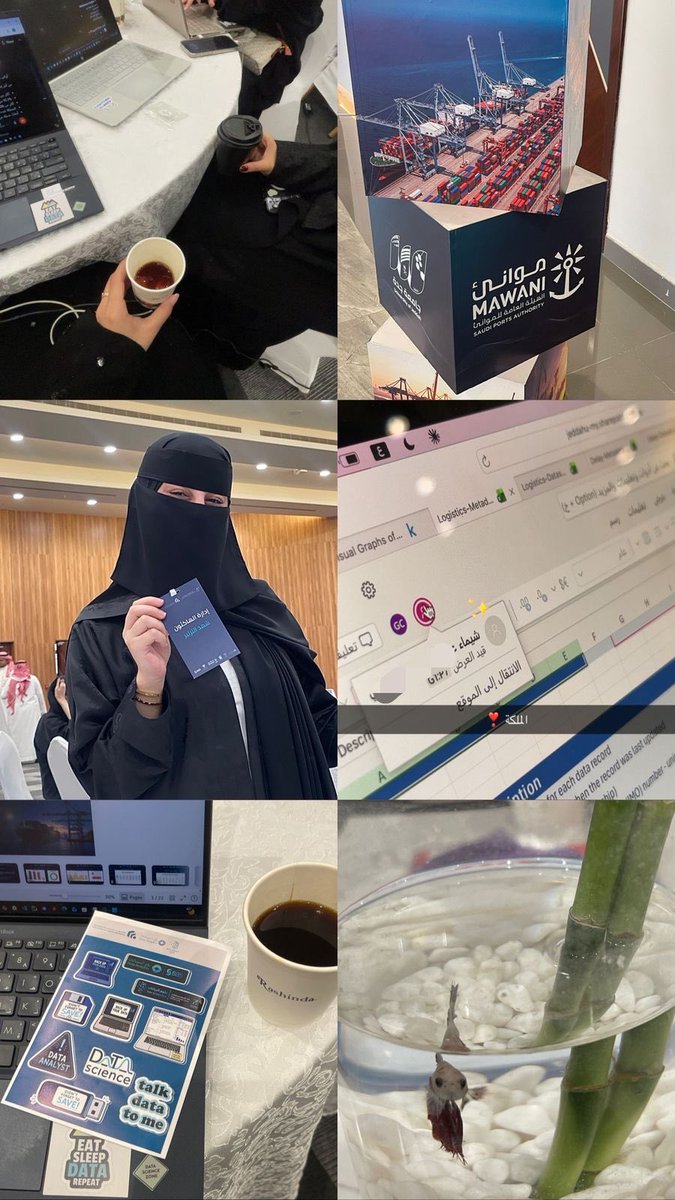 شيماء🪄 tweet media