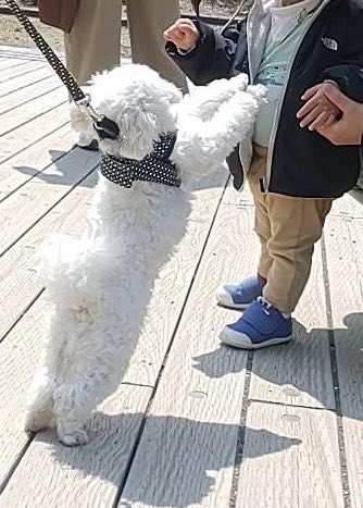 melon_1127's tweet photo. 最近のまるしゃん🫶 https://t.co/CzURqf8Vip