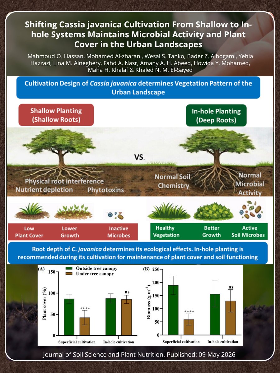 Journal_JSSPN's tweet photo. Shifting Cassia javanica Cultivation From Shallow to In-hole Systems Maintains Microbial Activity and Plant Cover in Urban Landscapes
 Hassan et al.
🔗 Read the paper:
 https://t.co/lkwscynwzG
📘 About us:
 https://t.co/GUz5PmovJ1 https://t.co/CwkW4kKFIm