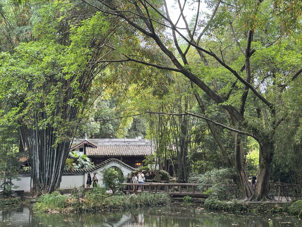 earthsample's tweet photo. spent a week in china https://t.co/f1iMZm0eqi