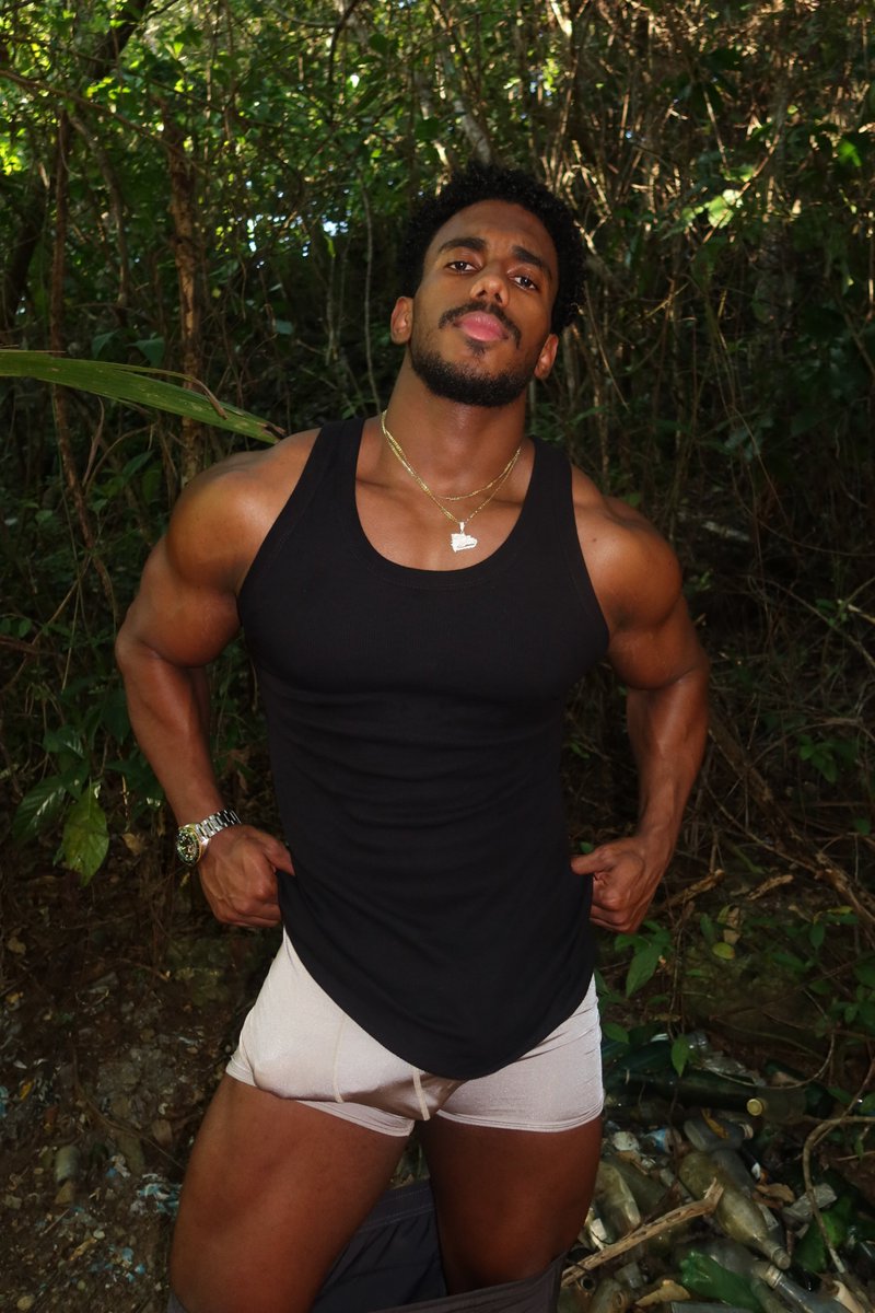 Adonis tweet media