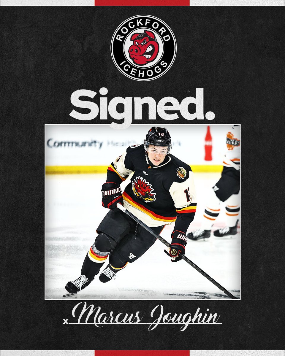Rockford IceHogs tweet media