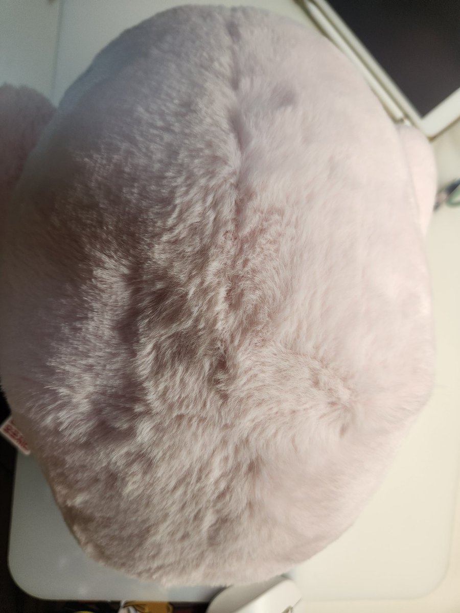 Yu_Seol_hwa's tweet photo. 봉이인형 사이즈 체감 안되시는 분들에게.
제가 쓰고 있는 노트북을 가려요 그냥 진짜 너무 큼;;; https://t.co/MSeouzHIKs