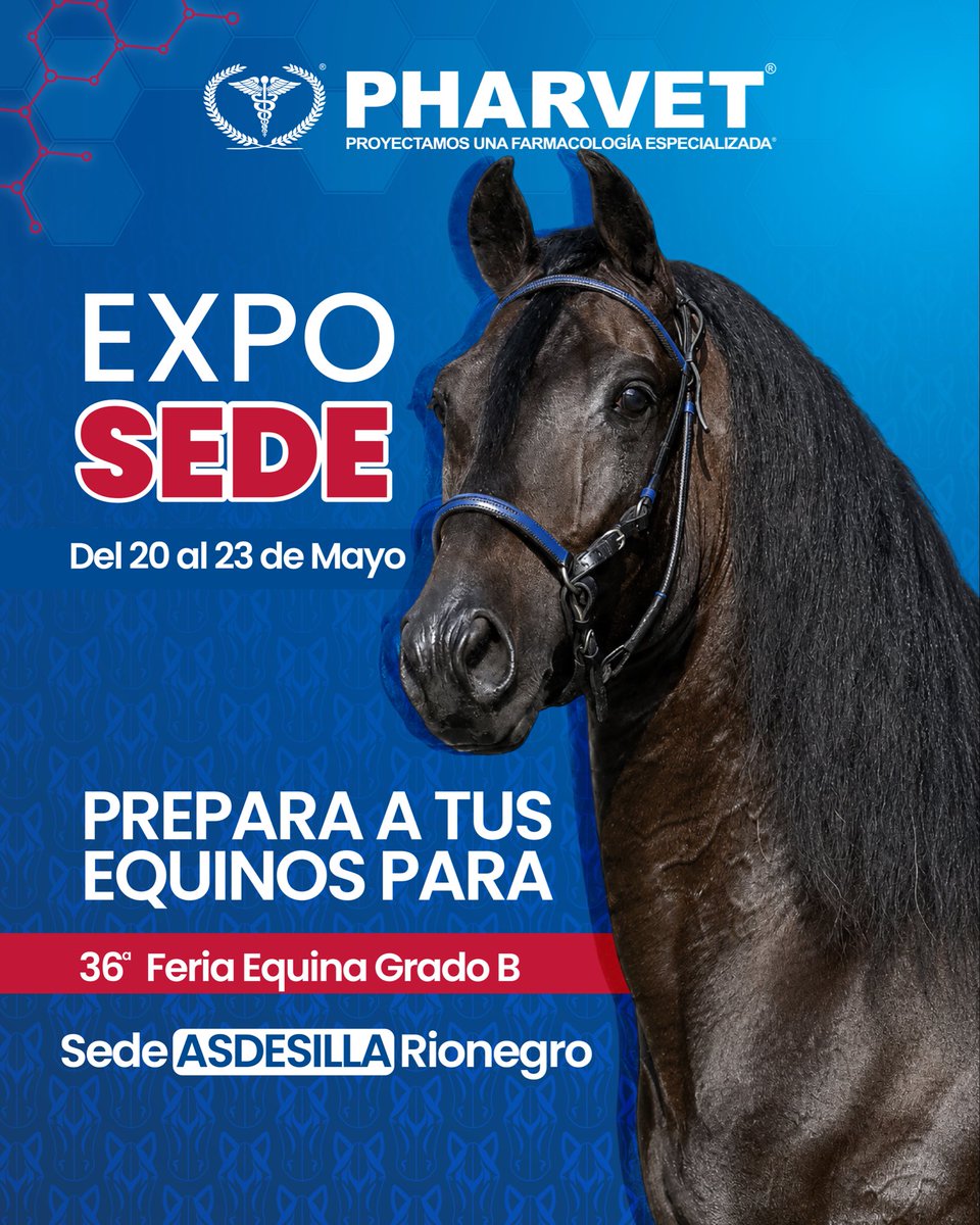 PharvetSAS's tweet photo. PHARVET estará presente en la 36ª Feria Equina Grado B, acompañando a criadores, expositores y amantes del mundo equino en ASDESILLA Rionegro.

Es momento de preparar a tus equinos para destacar con salud, rendimiento y bienestar. 💉🏆

📅 Del 20 al 23 de mayo
📍 ASDESILLA https://t.co/8xHbmgZE7M