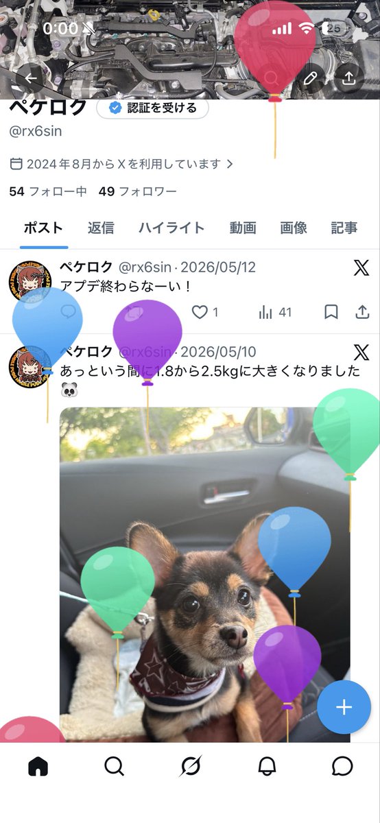 ペケロク tweet media