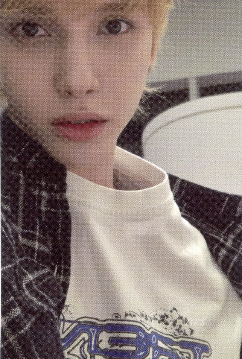 뽀삐 tweet media