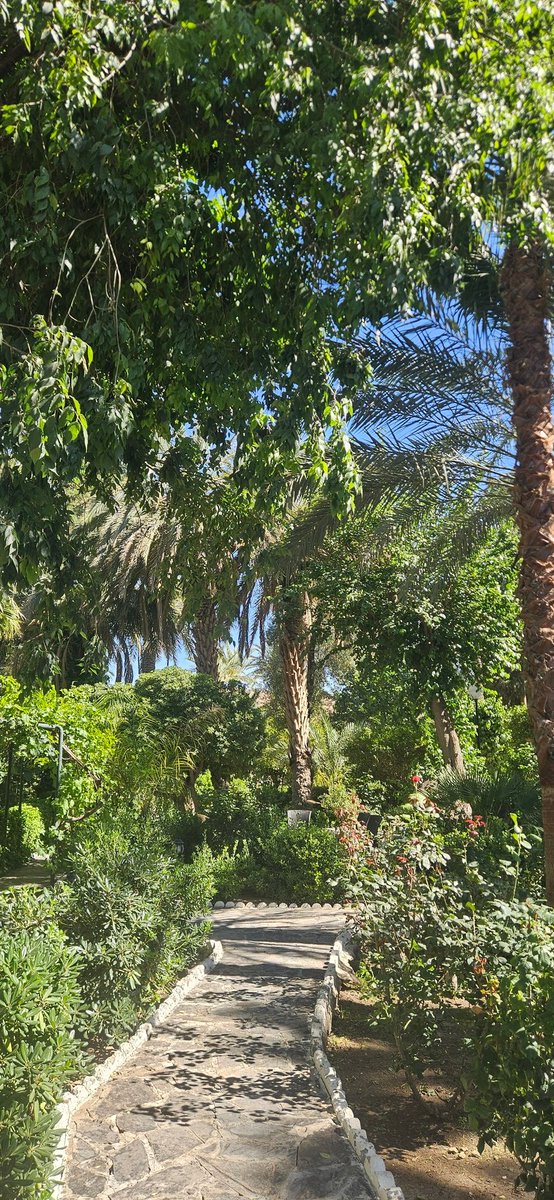 Auth_Algeria's tweet photo. Bou Saâda https://t.co/eVlBPHxHa8