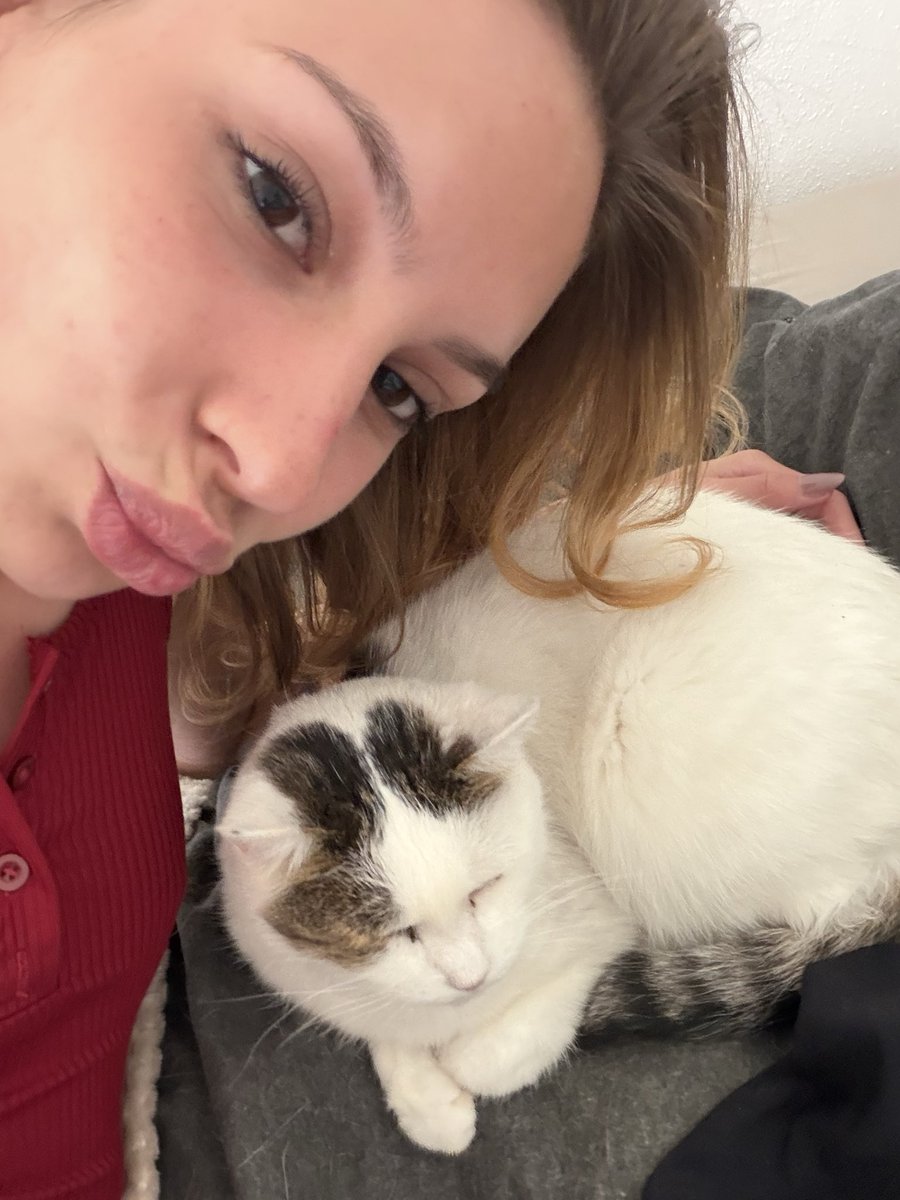 KattysMassage's tweet photo. 2 Katzen 🤭😇✨ https://t.co/2ZQca0Qe9q