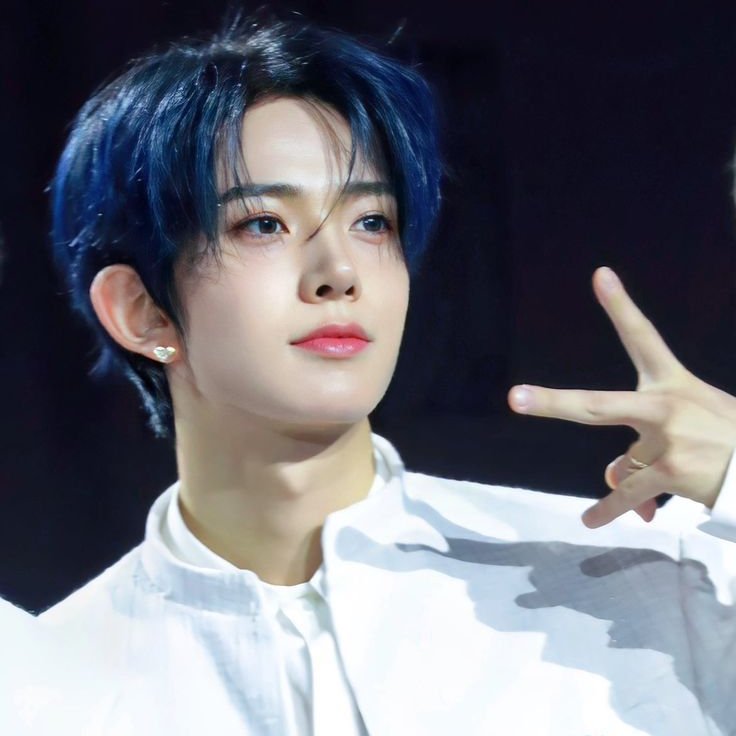 loh ENHYPEN IS 7. 💙 tweet media