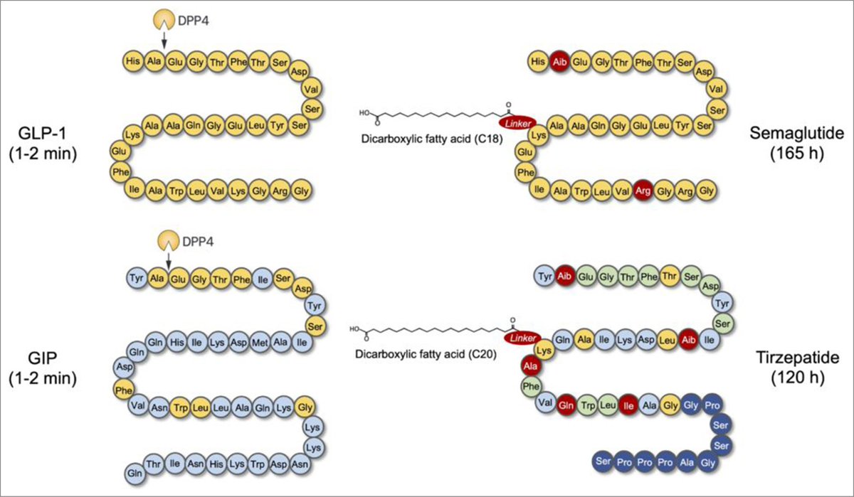 what's going on with tirzepatide Compounded Tirzepatide With B6 (Pyridoxine)