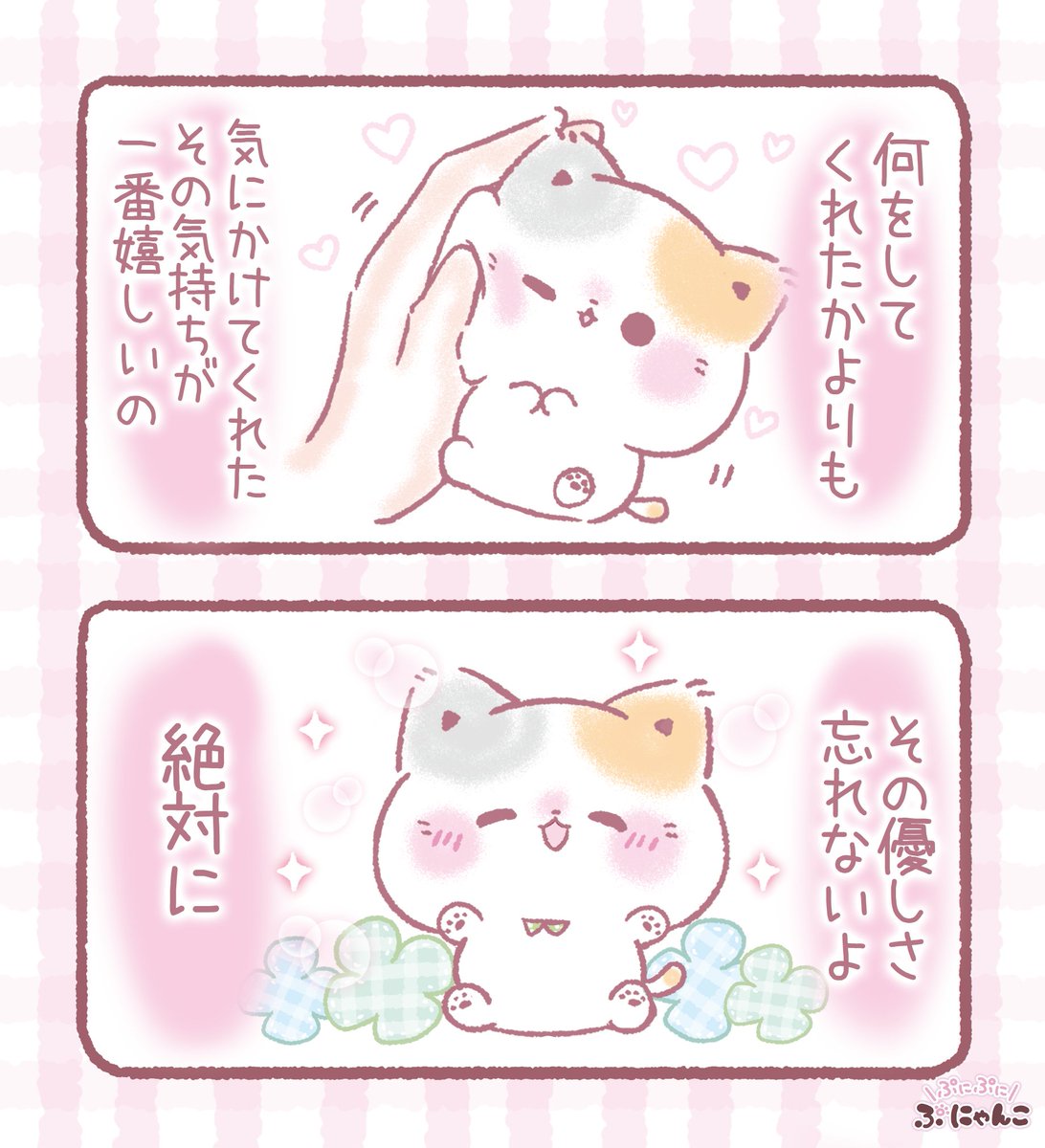 ぷにゃんこ🐾｜TOKUDOME🌼 tweet media