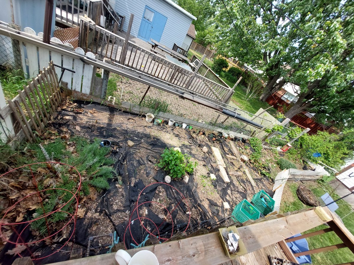 rachelfitz131's tweet photo. Here's to hoping my little urban garden plot provides a lot of food this summer 🌽🥒🍅🥕🍆🫛🫜 https://t.co/Zr1aUEiZXp