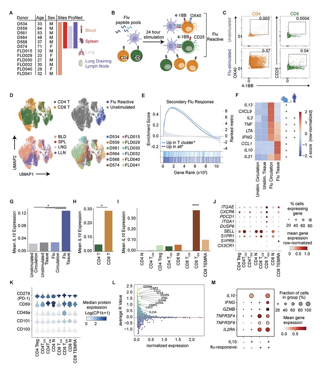 JExpMed's tweet photo. Lung tissue-resident memory T cells optimize protection by IL-10 regulation of #InnateImmunity, say Alexander Yang, @DonnaFarber3 and colleagues https://t.co/NudcrPrKVO 

📘 From #Inflammation Resolution 2026: https://t.co/MMGxx6xWCJ

#KSInflammation26 https://t.co/aT505BSAKh