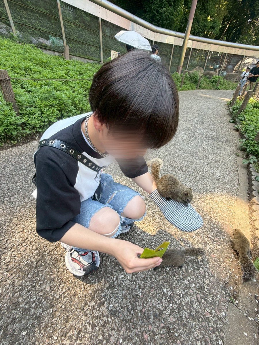 dekuno_04's tweet photo. りすとたわむれた🐿️ https://t.co/WrWSbVbff5